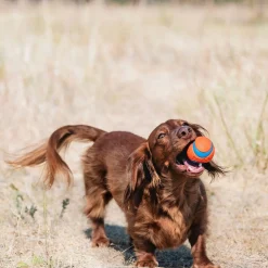 Chuckit Ultra Ball 2 kpl
