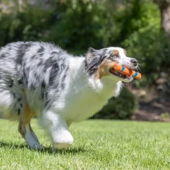 Chuckit Ultra Fetch Stick