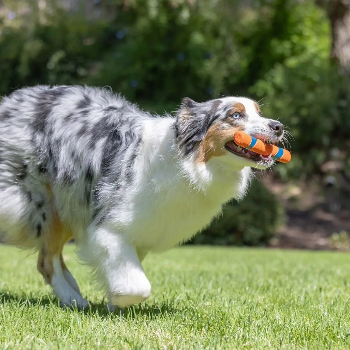 Chuckit Ultra Fetch Stick