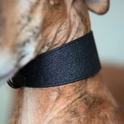 Collar of Sweden leveä solkipanta, musta glitter