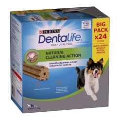 Dentalife Medium 24-pack