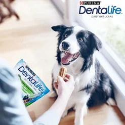 Dentalife Medium 24-pack