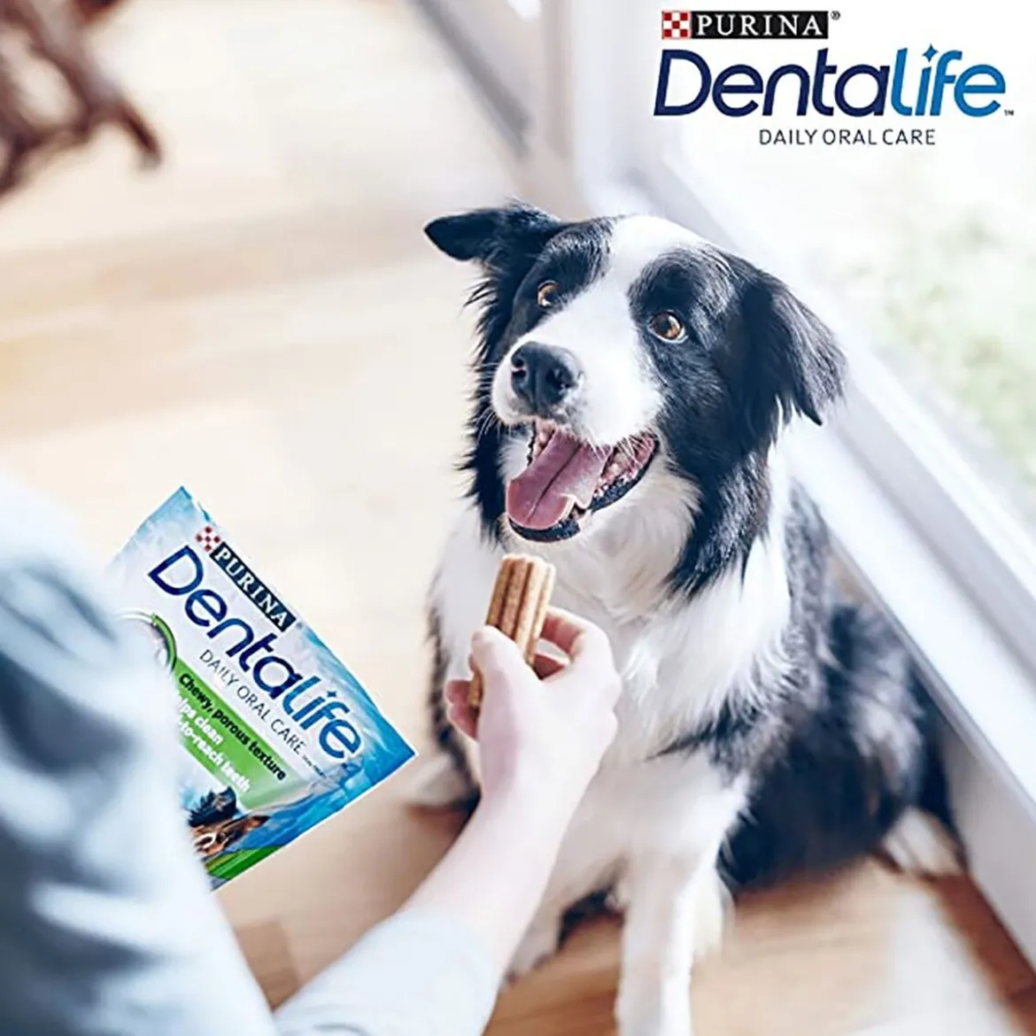 Dentalife Medium 24-pack