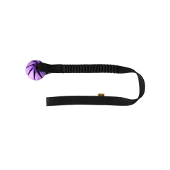 Dingo Bungee Vetolelu pallolla