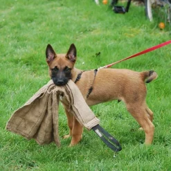 Dingo Gear juuttirätti 65 cm