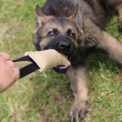 Dingo Gear Kamprulle i Jute med 1 Handtag 40 cm