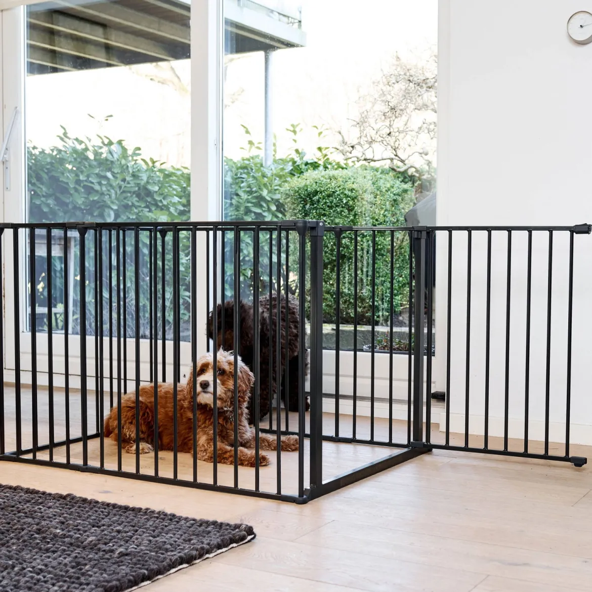 DogSpace Max pentuaitaus musta