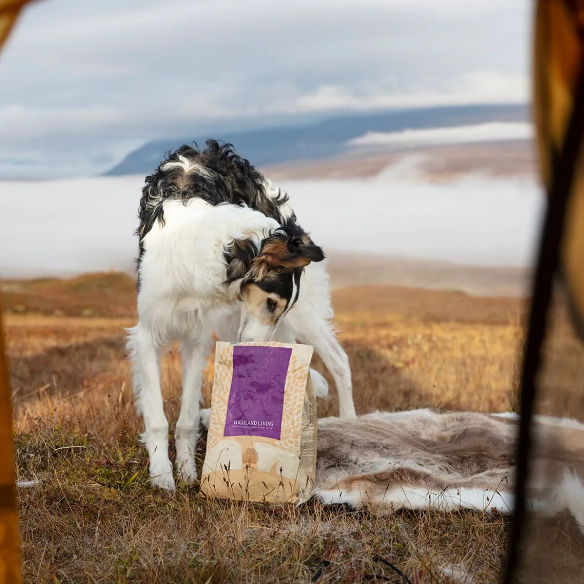 ESSENTIAL HIGHLAND LIVING 10kg
