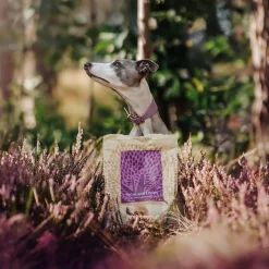 ESSENTIAL HIGHLAND LIVING SMALL BREED 2,5kg