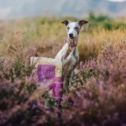 ESSENTIAL HIGHLAND LIVING SMALL BREED 2,5kg