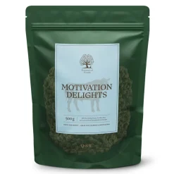 ESSENTIAL Motivation Delights 500g