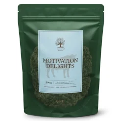 ESSENTIAL Motivation Delights 500g