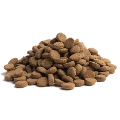 ESSENTIAL OLDER 10kg