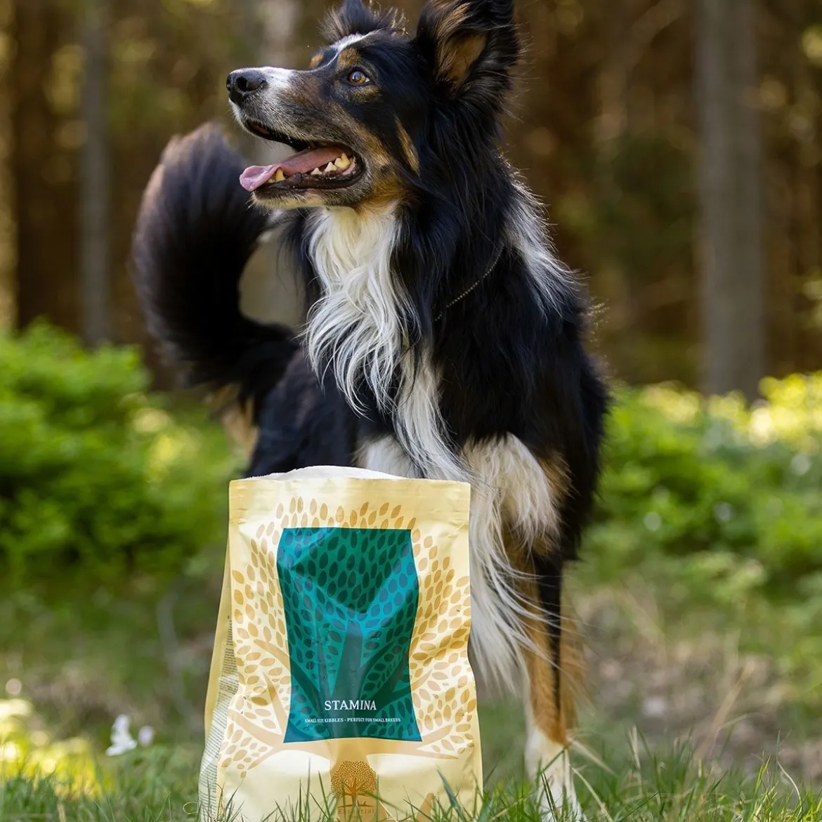 ESSENTIAL STAMINA SMALL BREED 2,5kg