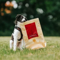 ESSENTIAL the BEGINNING SMALL BREED