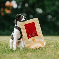 ESSENTIAL the BEGINNING SMALL BREED