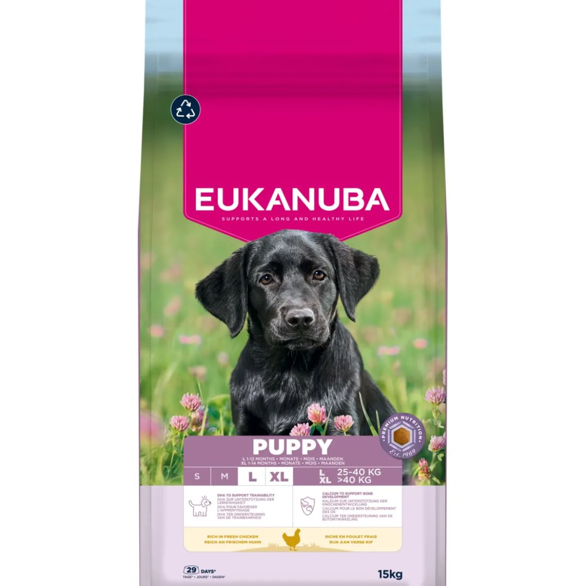 Eukanuba Dog Puppy Large 2 x 15kg