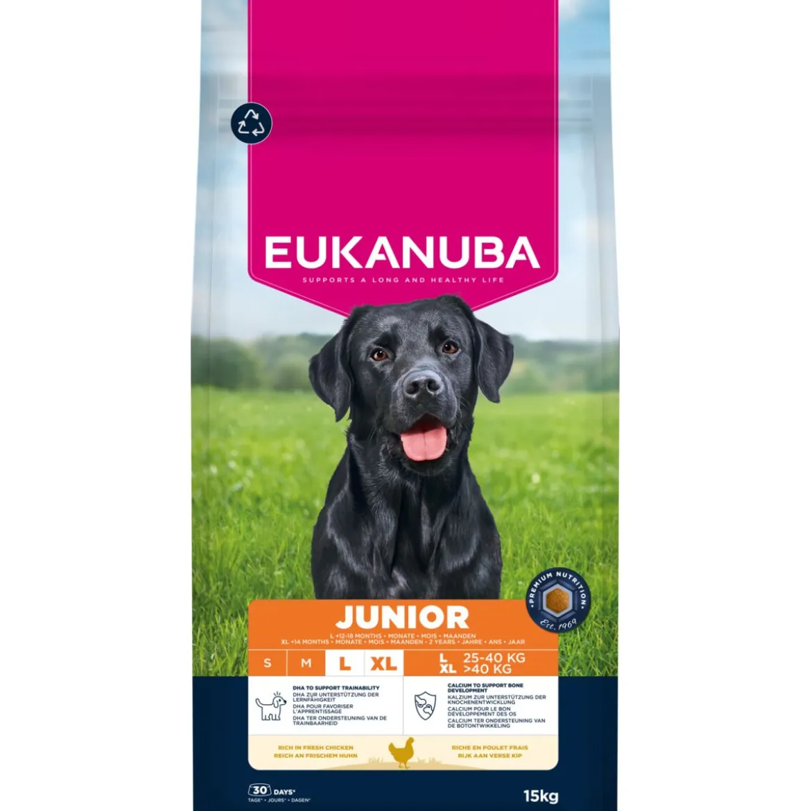 Eukanuba Junior Large