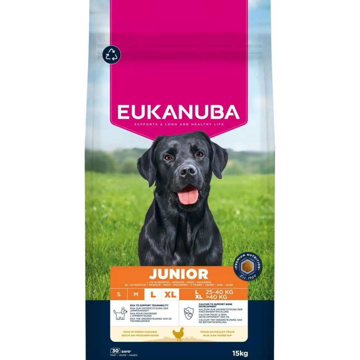 Eukanuba Junior Large