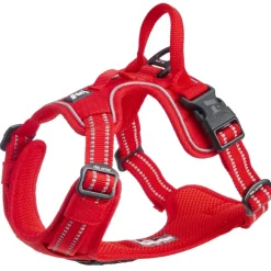 Feel Active Training valjaat, punainen