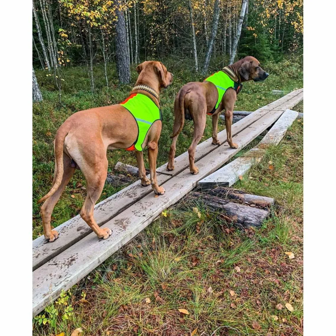FinNero Ukko metsästysliivi