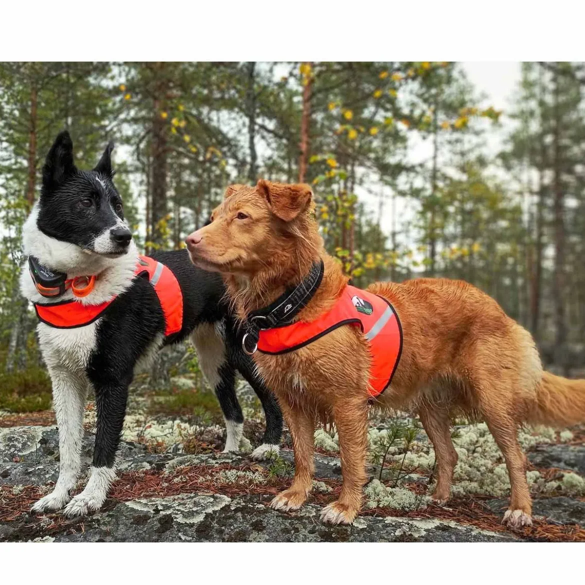 FinNero Ukko metsästysliivi