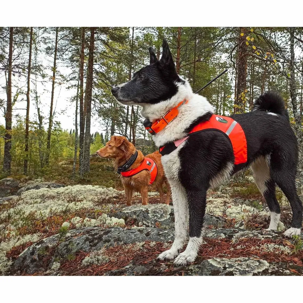 FinNero Ukko metsästysliivi