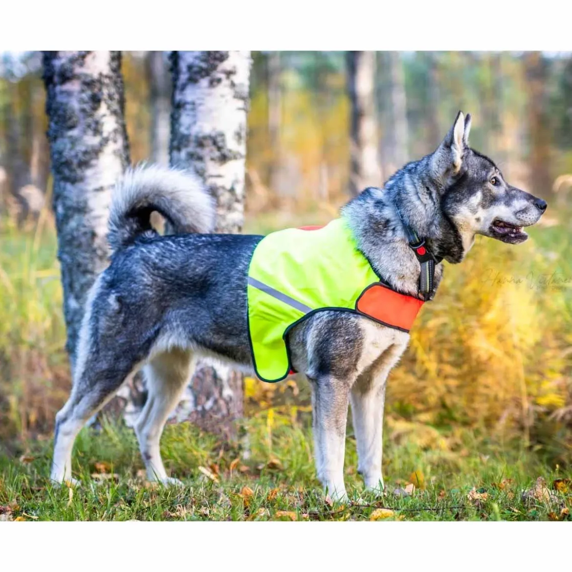 FinNero Ukko metsästysliivi