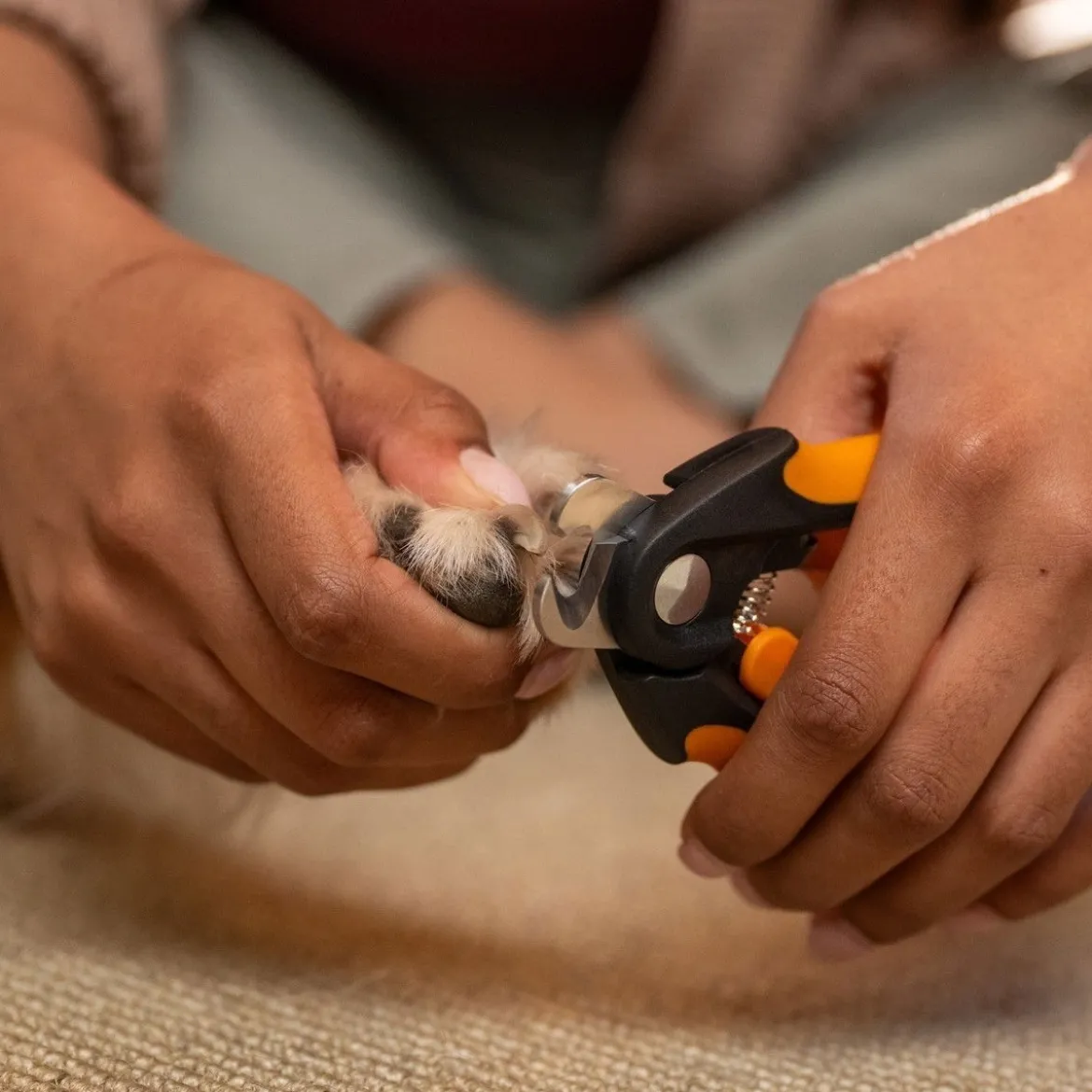 Fiskars ison koiran kynsisakset
