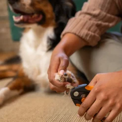 Fiskars ison koiran kynsisakset