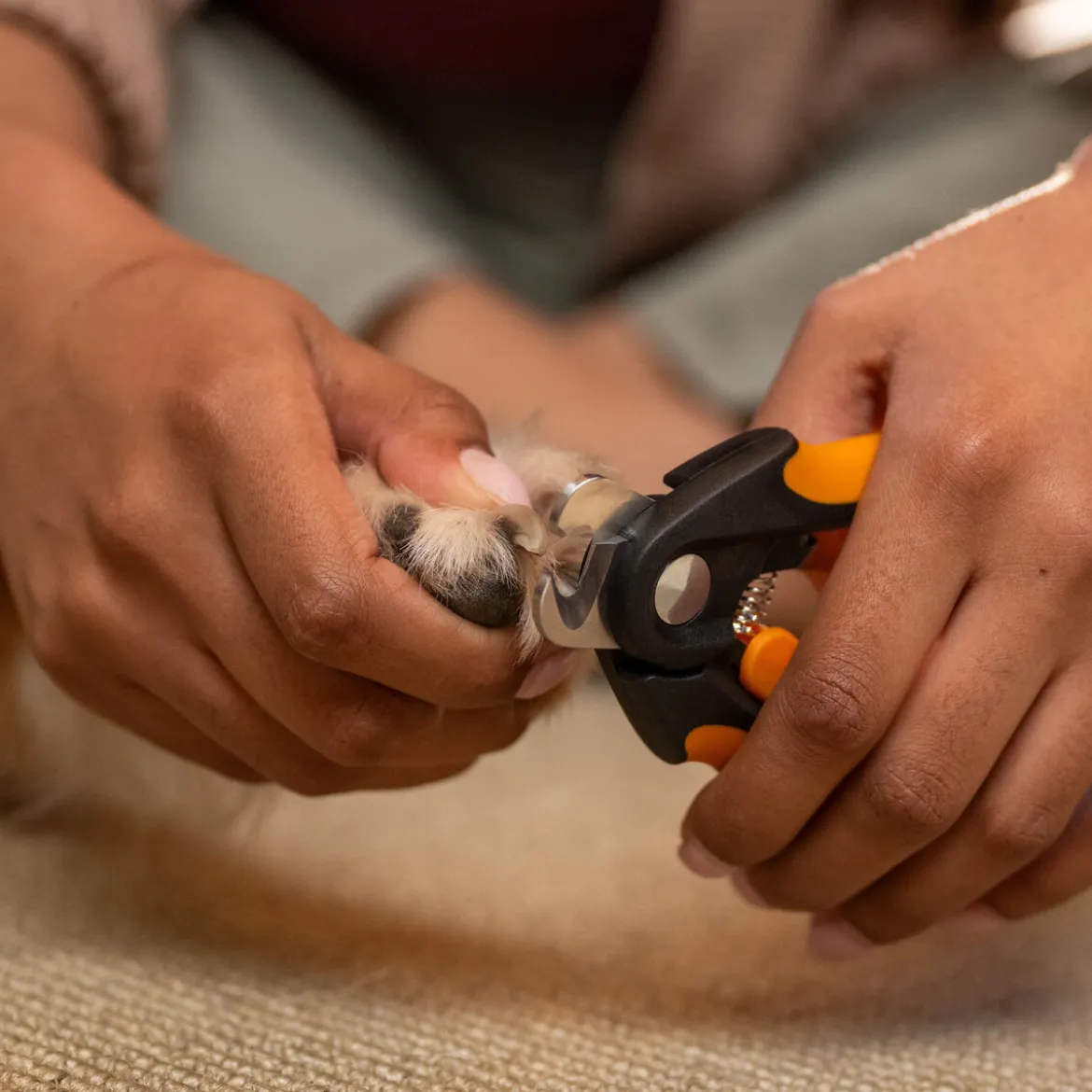 Fiskars ison koiran kynsisakset