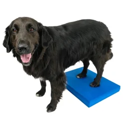 FitPaws Balance Pad, 38 x 46 x 5 cm