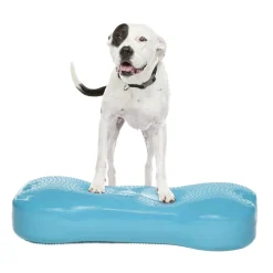 FitPaws K9FitBone Giant, 86 x 39 x 15 cm