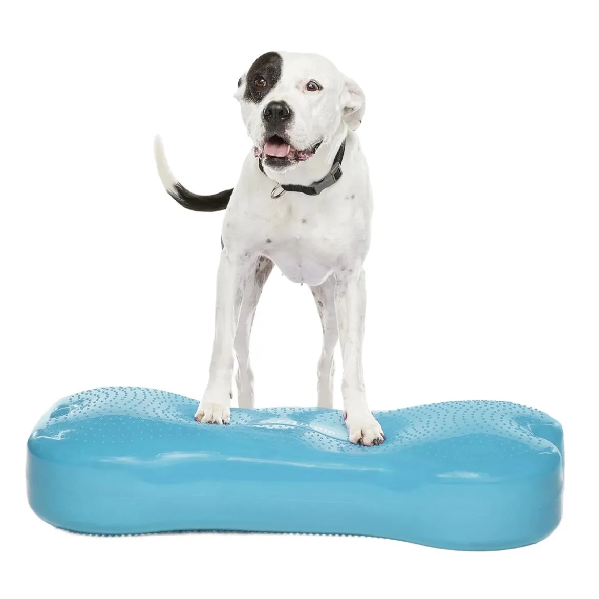 FitPaws K9FitBone Giant, 86 x 39 x 15 cm