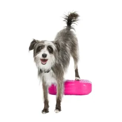 FitPaws K9FitBone Mini, 29 x 17 x 7 cm, 2 kpl