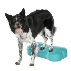 FitPaws K9FitBone, 58 x 29 x 10 cm