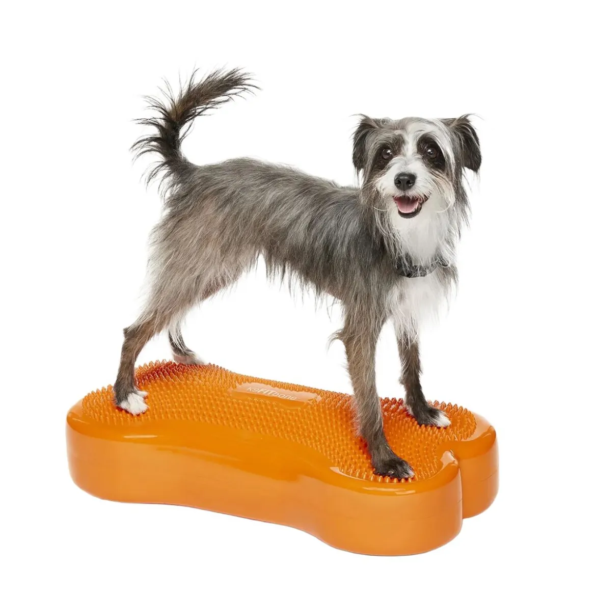 FitPaws K9FitBone, 58 x 29 x 10 cm