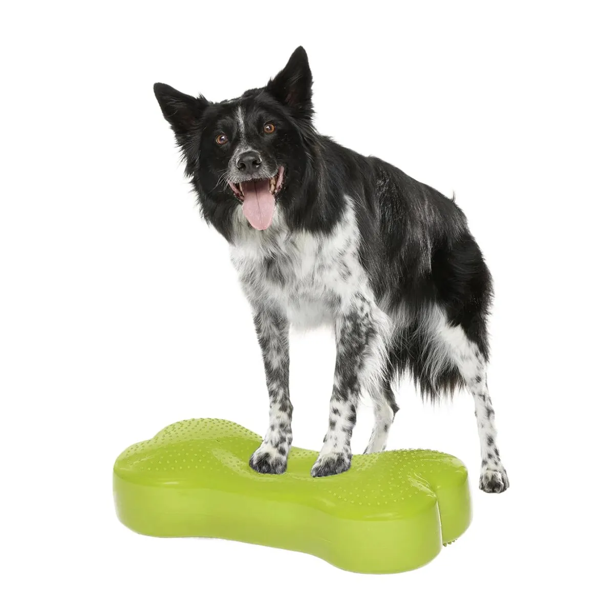 FitPaws K9FitBone, 58 x 29 x 10 cm
