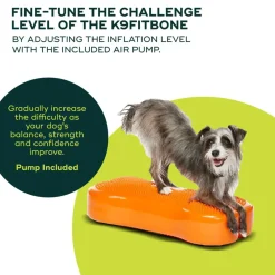 FitPaws K9FitBone, 58 x 29 x 10 cm