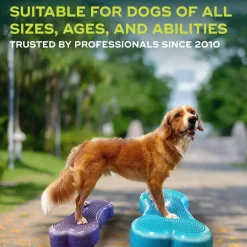 FitPaws K9FitBone, 58 x 29 x 10 cm