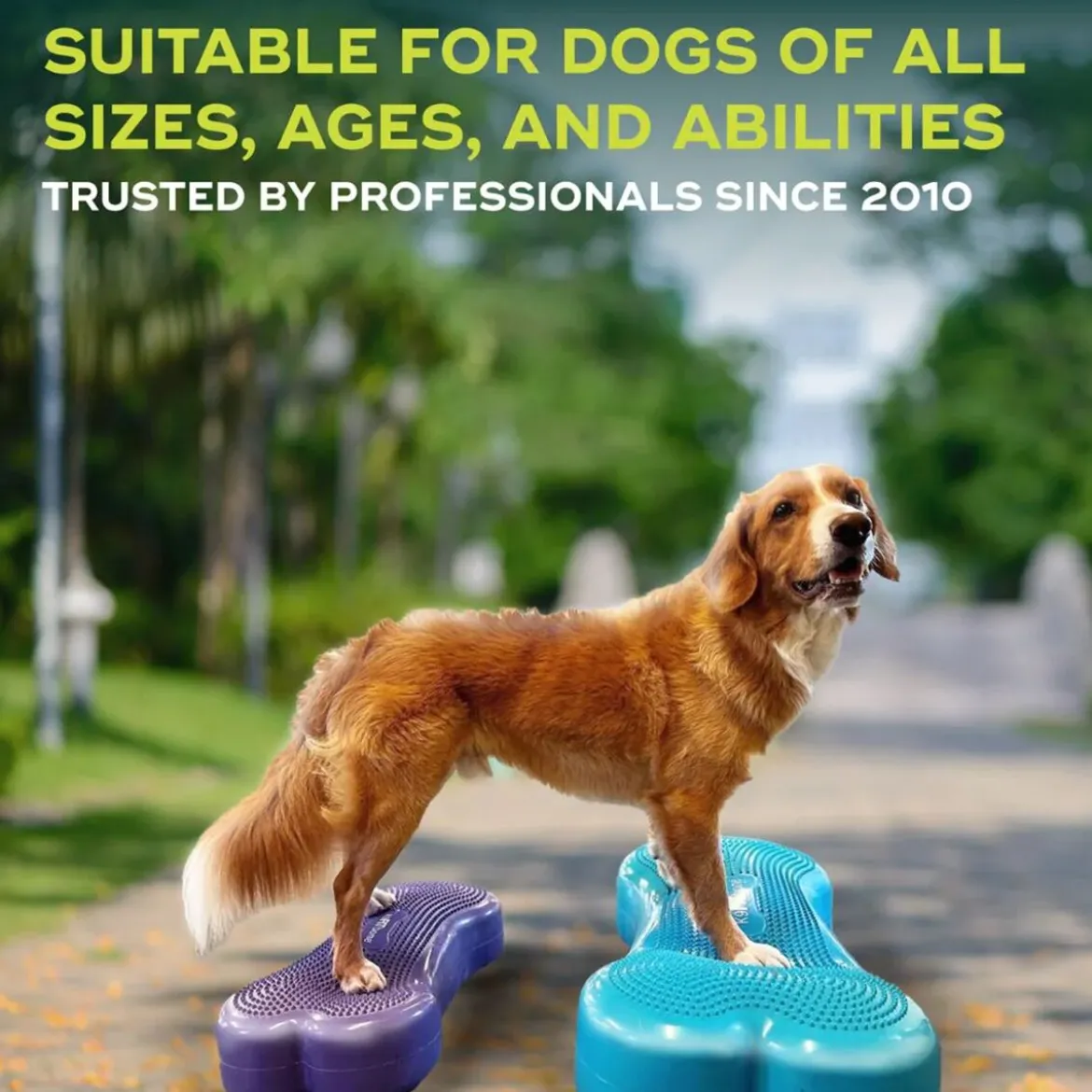 FitPaws K9FitBone, 58 x 29 x 10 cm