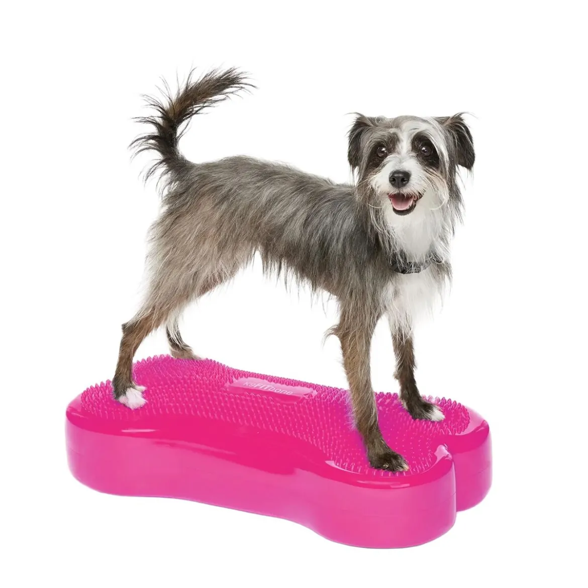 FitPaws K9FitBone, 58 x 29 x 10 cm