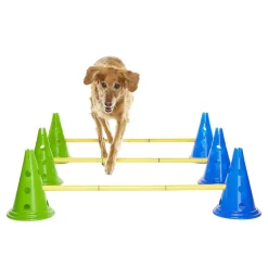 FitPaws K9-kavaletti 58 x 29 x 10 cm