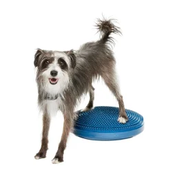 FitPaws-koiran tasapainotyyny, 36 cm