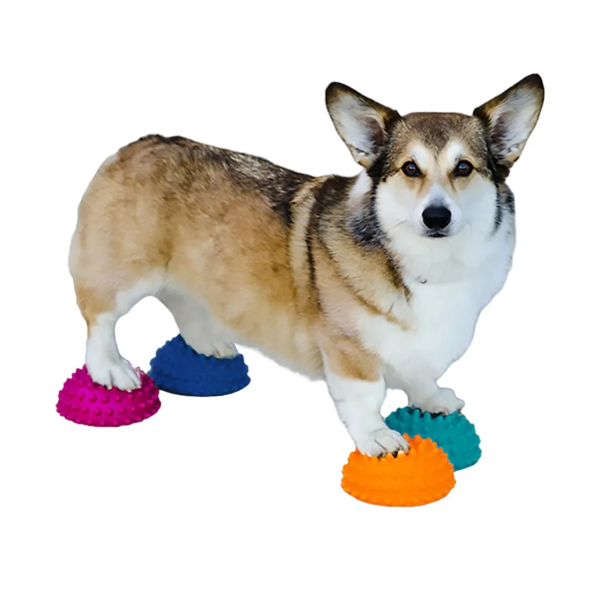 FitPaws Paw Pods, 4 kpl