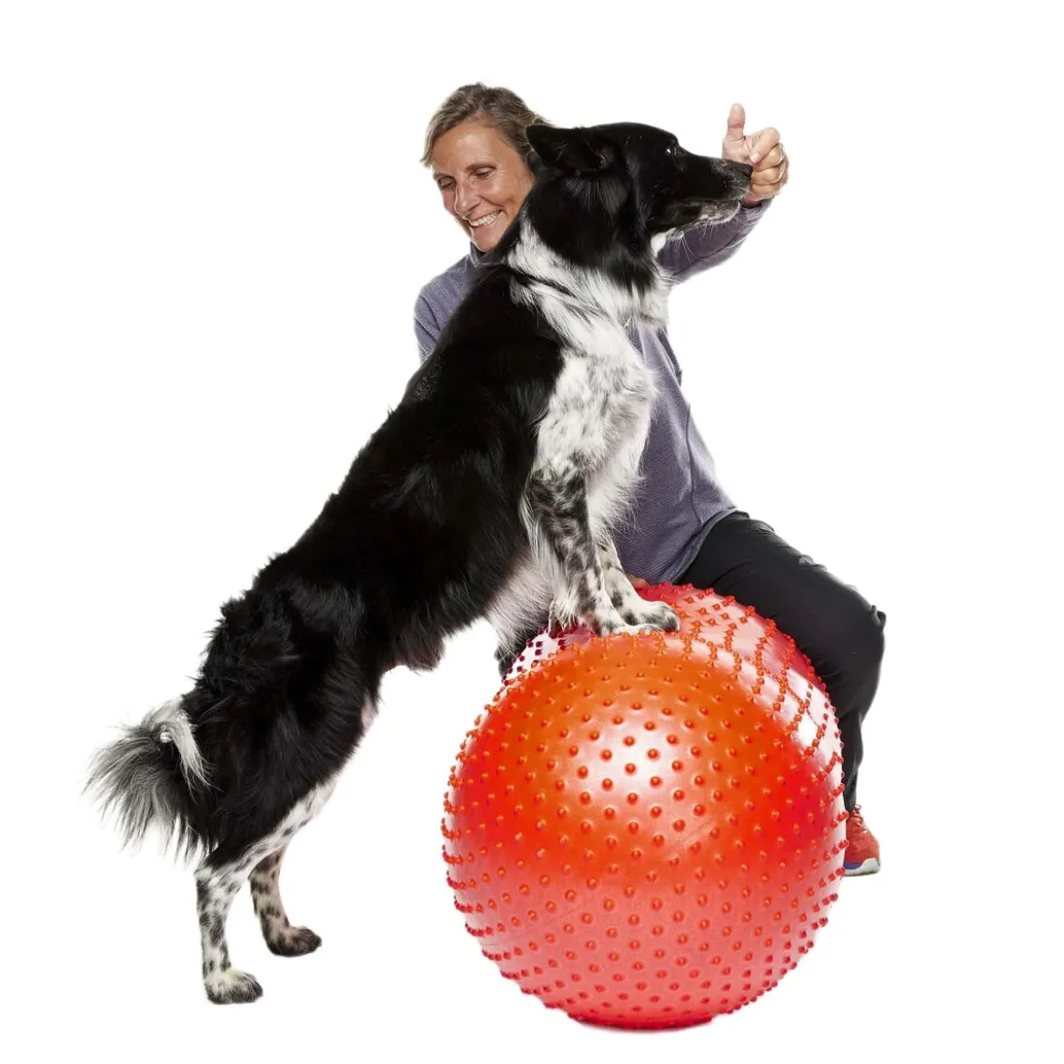 FitPaws Trax Peanut punainen, 50 x 50 x 20 cm