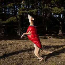 FuzzYard koiran takki Hakuba, punainen