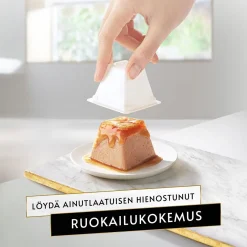 Gourmet Revelations Salmon 2x57 g