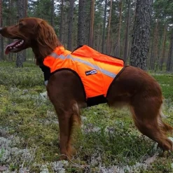 GPS-huomioliivi Inari, Kardog