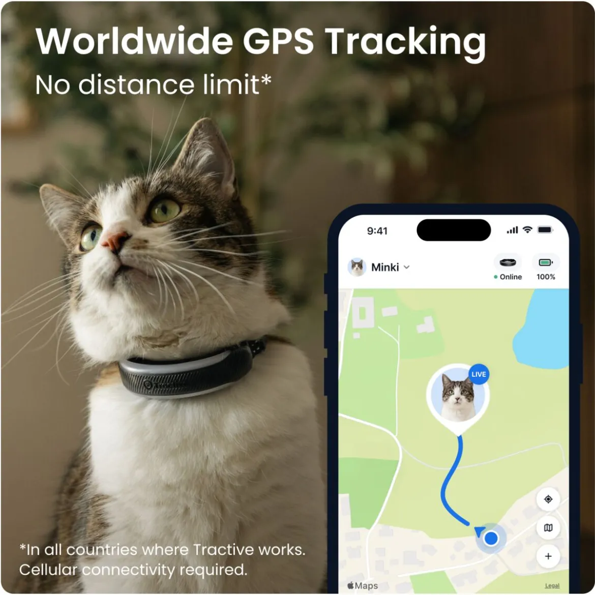 GPS kissalle Tractive CAT 6 Mini